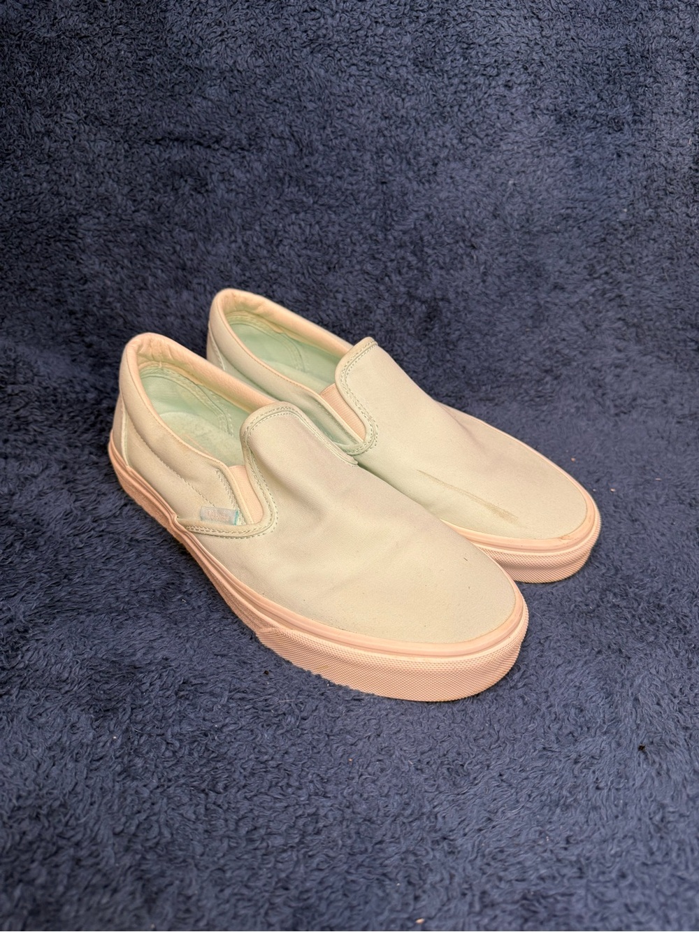 Pastel Slip-On Canvas Sneakers in Light Mint